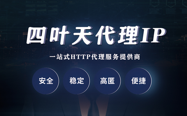 【宜昌代理IP】代理ip客户端使用教程