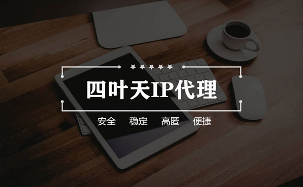 【宜昌代理IP】如何快速搭建代理IP？怎么检查代理的效果？