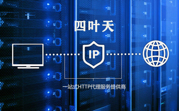 【宜昌代理IP】代理IP的主要用途和使用注意事项